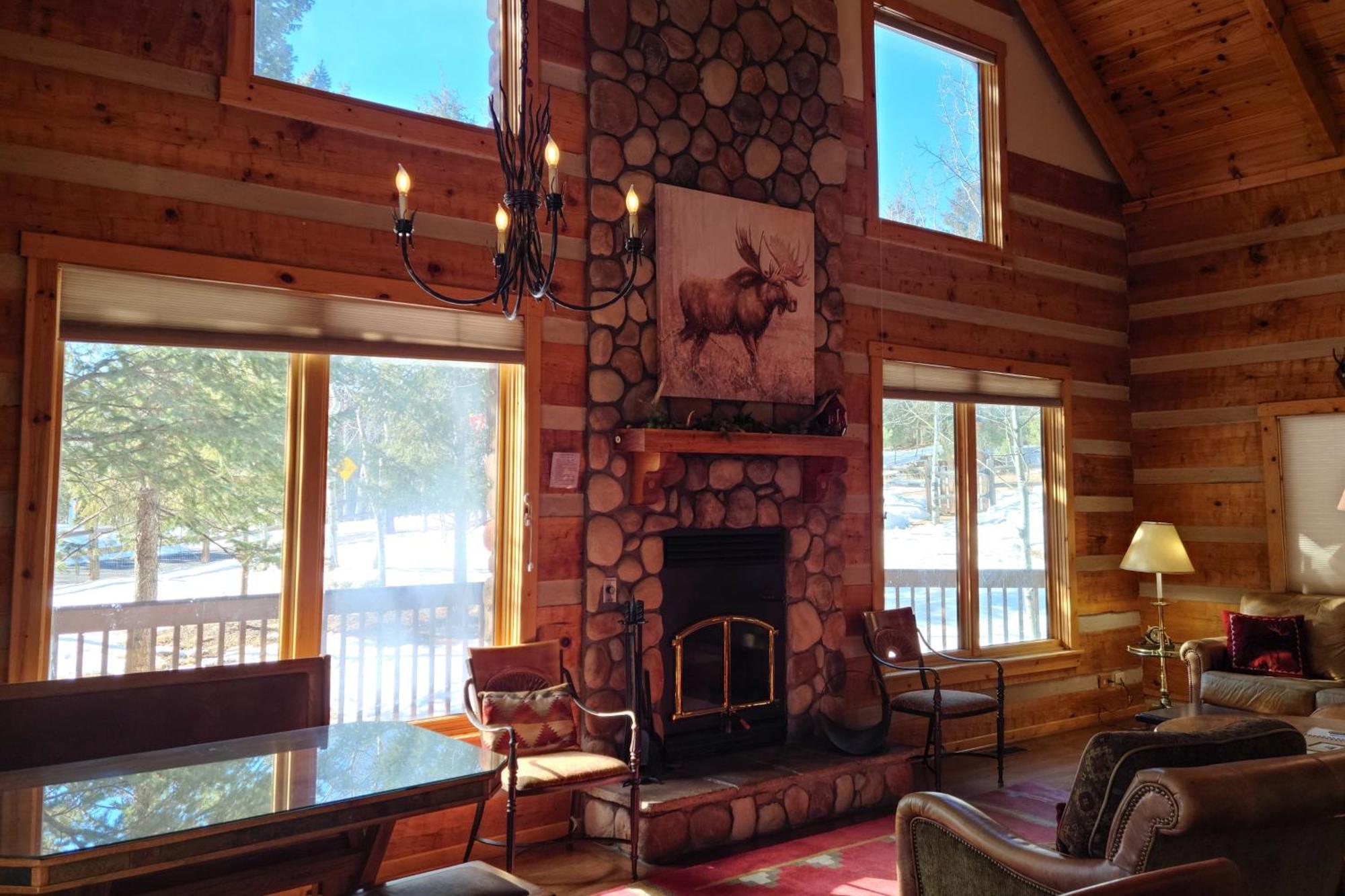 Timber Wolf * Woodland Park